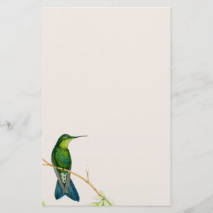 Hummingbird Birds Flowers Floral Wildlife Animals Stationery