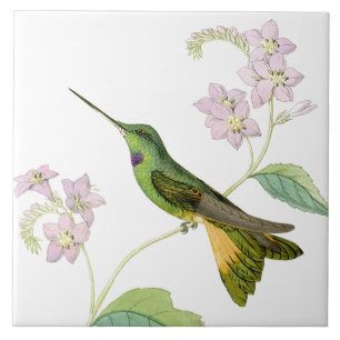 Hummingbird Birds Flowers Floral Wildlife Animals Tile
