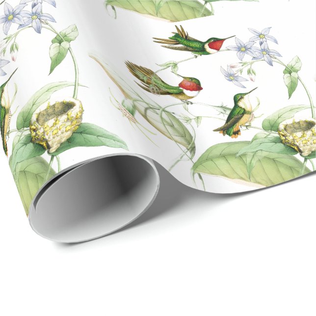 Hummingbird Birds Flowers Floral Wrapping Paper (Roll Corner)