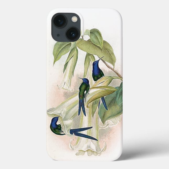 Hummingbird Birds iPhone 6 Case (Back)