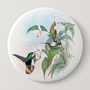 Hummingbird Birds Orchid Flowers Animal Button