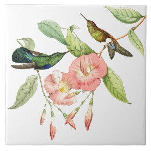 Hummingbird Birds Pink Flowers Ceramic Tile