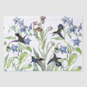 Hummingbird Birds Starflower Flowers Tissue Paper
