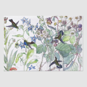 Hummingbird Birds Starflower Flowers Tissue Paper