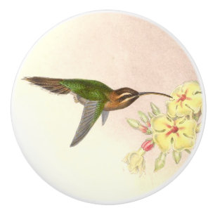 Hummingbird Birds Wildlife Animals Floral Knob