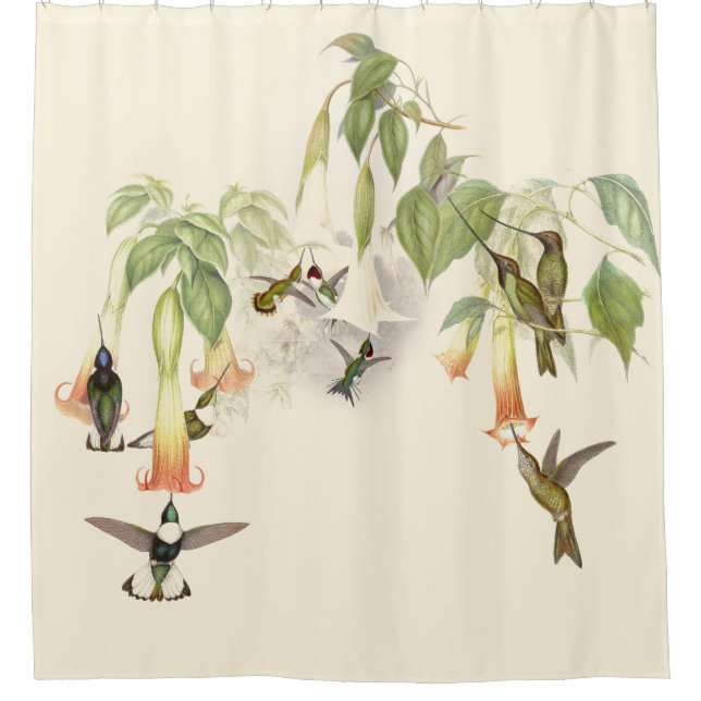 Hummingbird Birds Wildlife Animals Flowers Floral Shower Curtain (Front)