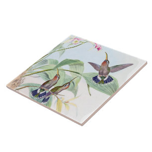 Hummingbird Birds Wildlife Animals Flowers Tile