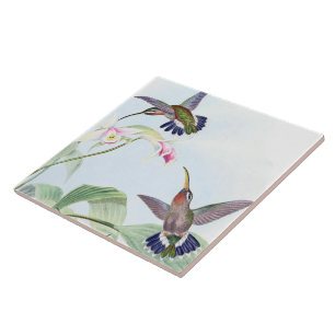 Hummingbird Birds Wildlife Animals Flowers Tile