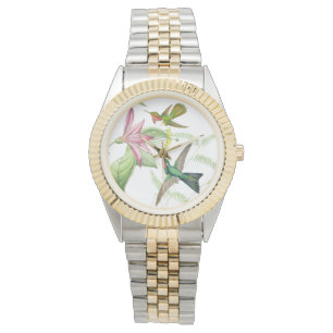 Hummingbird Birds Wildlife Floral Flowers Watch