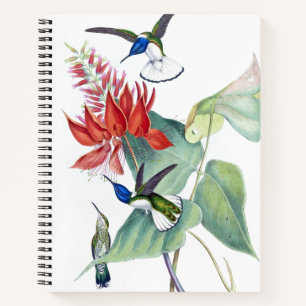 Hummingbird Birds Wildlife Floral Spiral Notebook