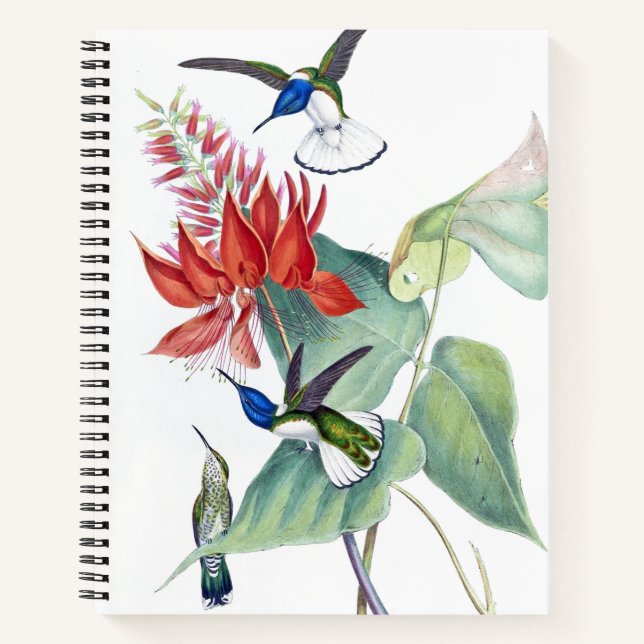 Hummingbird Birds Wildlife Floral Spiral Notebook (Front)
