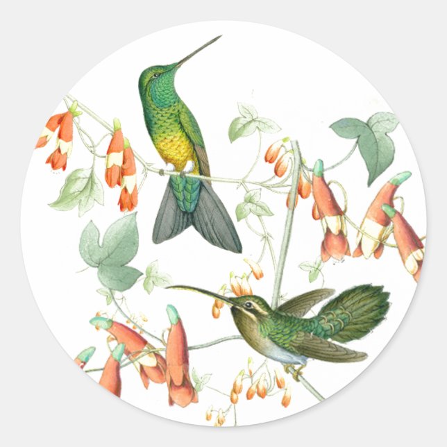 Hummingbird Birds Wildlife Flowers Animals Floral Classic Round Sticker (Front)