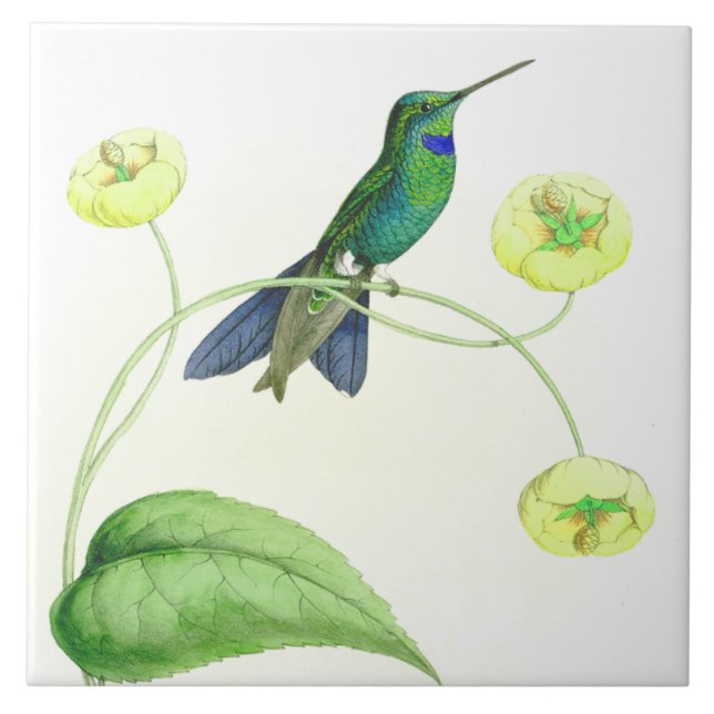 Hummingbird Birds Wildlife Flowers Floral Animals Ceramic Tile (Front)