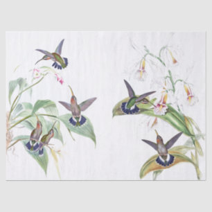 Hummingbird Birds Wildlife Flowers Tissue Paper