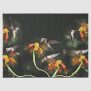 Hummingbird Birds Wildlife Sunflower Flower Floral Tissue Paper