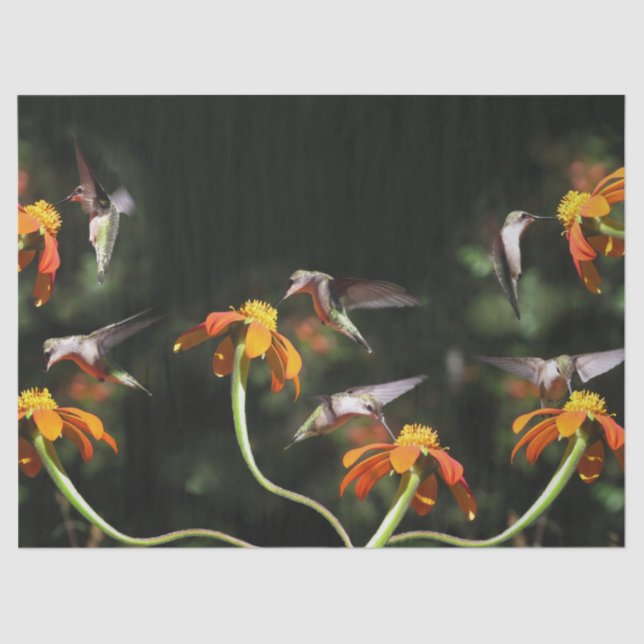 Hummingbird Birds Wildlife Sunflower Flower Floral Tissue Paper (Front)