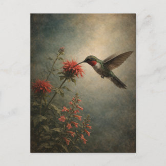 Hummingbird Bloom | Floral Bird Art | Postcard