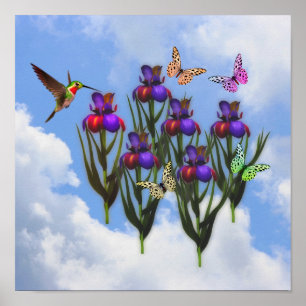 Hummingbird Butterflies Iris Flowers Poster