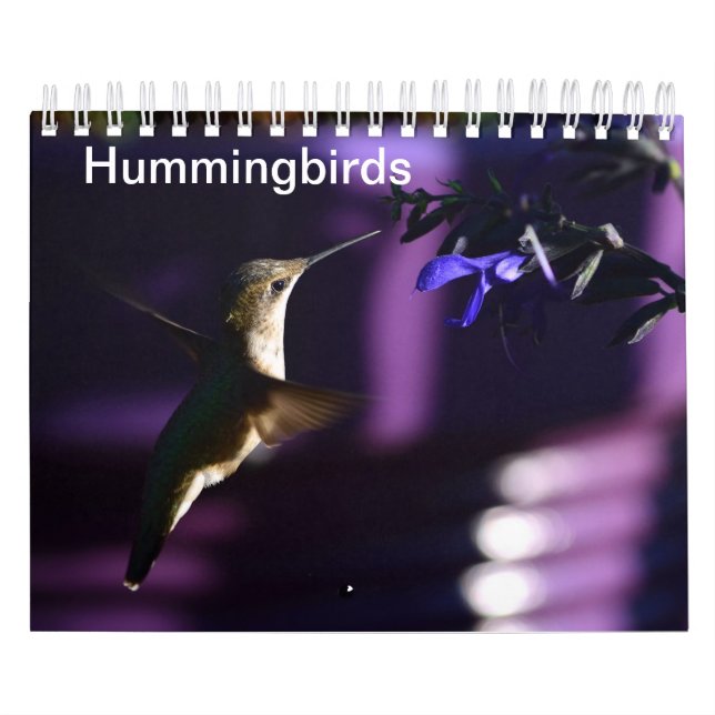 Hummingbird Calendar (Cover)