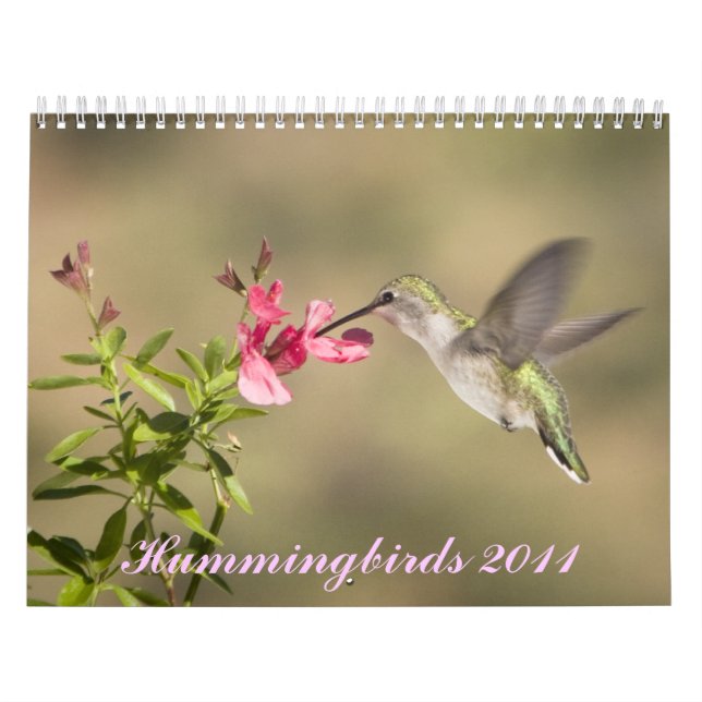 Hummingbird Calendar (Cover)
