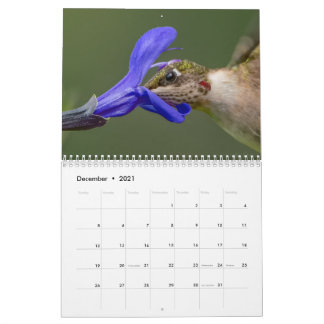 Hummingbird calendar with unique images