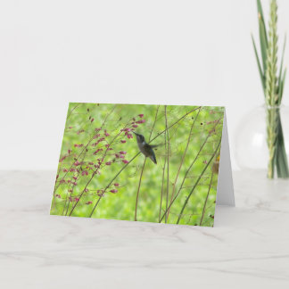 Hummingbird Card