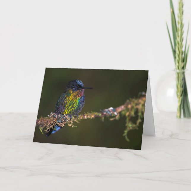Hummingbird Card (Front)
