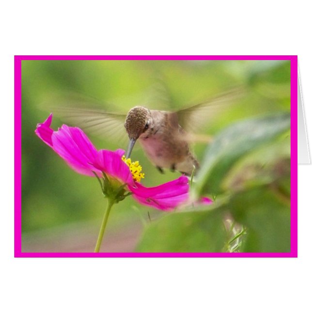 Hummingbird Card (Front Horizontal)
