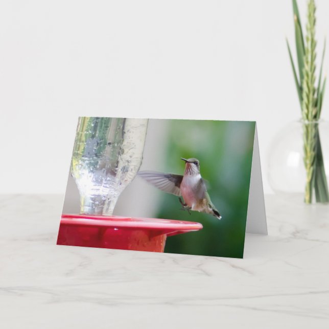 Hummingbird Card (Front)