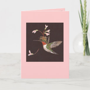 hummingbird card, Ozzie Card