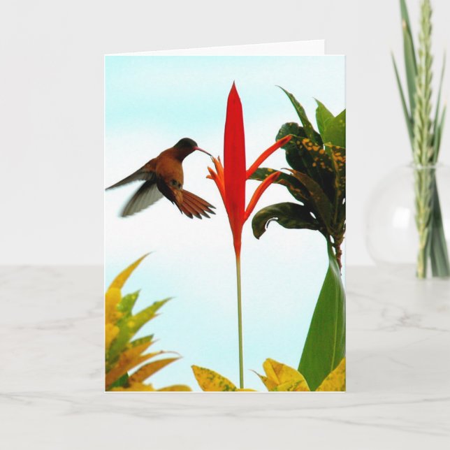 Hummingbird Card (Pose 1) (Front)