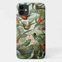 Hummingbird