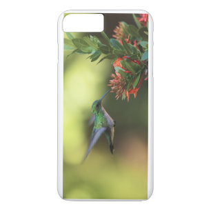 Hummingbird iPhone 8 Plus/7 Plus Case
