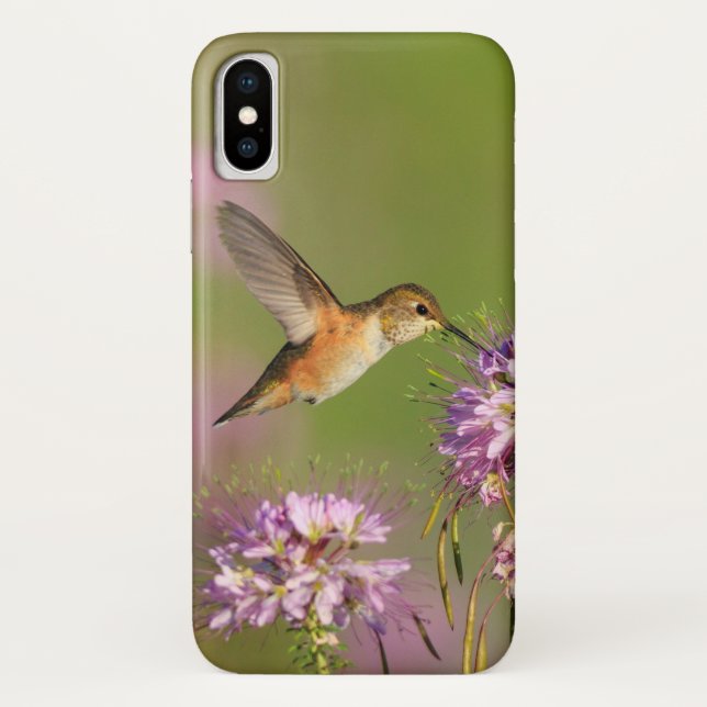 Hummingbird Case-Mate iPhone Case (Back)