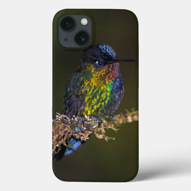 Hummingbird Case-Mate iPhone Case (Back)