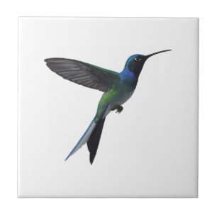 Hummingbird Ceramic Tile