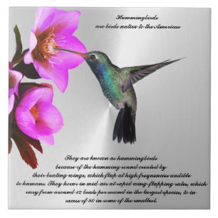 HUMMINGBIRD Ceramic Tile