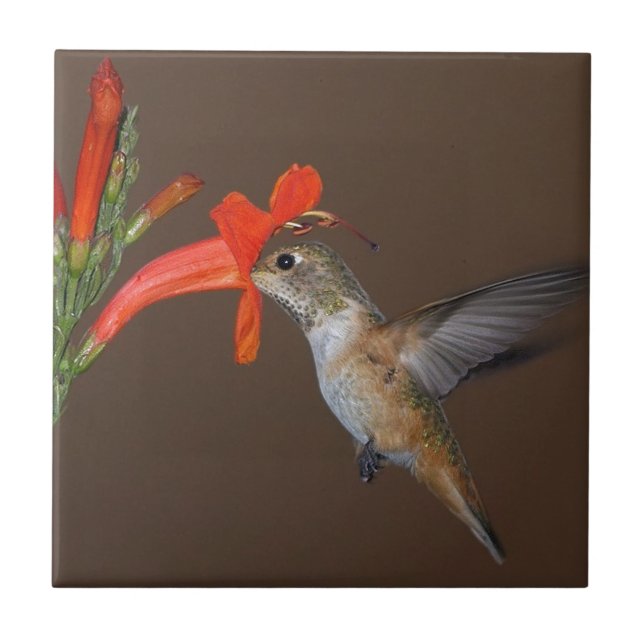 HUMMINGBIRD CERAMIC TILE (Front)