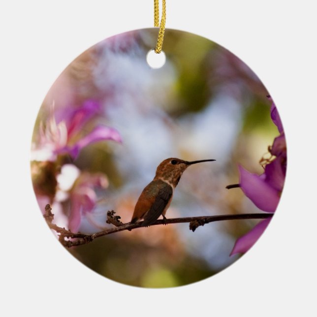 Hummingbird Ceramic Tree Decoration (Front)