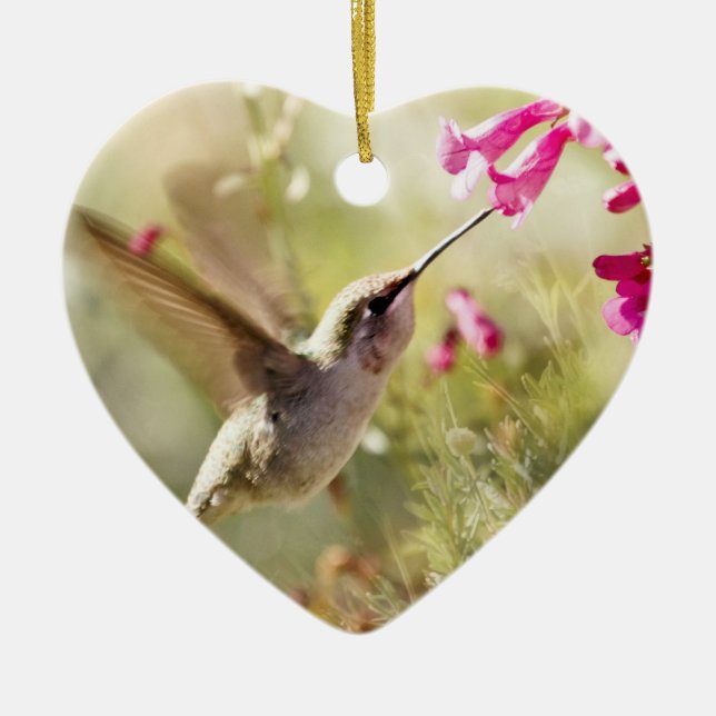 Hummingbird Ceramic Tree Decoration (Front)