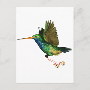 Hummingbird Christmas Holiday Postcard