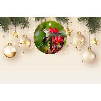 Hummingbird Christmas Ornament