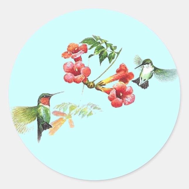 Hummingbird Classic Round Sticker (Front)