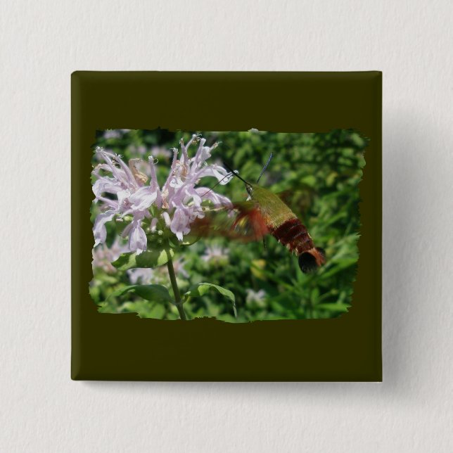 Hummingbird Clear Wing Moth Coordinating Items 15 Cm Square Badge (Front)