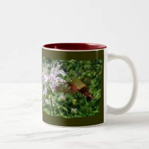 Hummingbird Clear Wing Moth Coordinating Items Two-Tone Coffee Mug