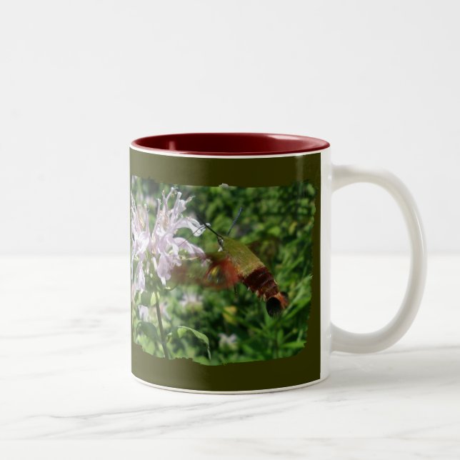 Hummingbird Clear Wing Moth Coordinating Items Two-Tone Coffee Mug (Right)