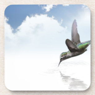 Hummingbird Coaster