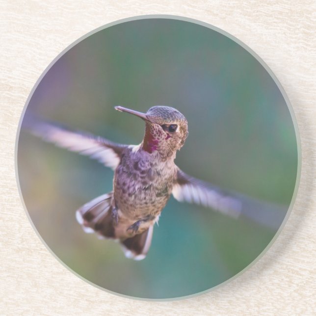 Hummingbird Coaster (Front)