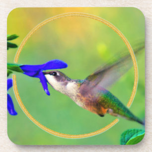 Hummingbird Coaster