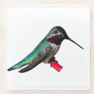 Hummingbird Coaster - Design D